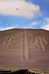 Condor over Paracas Candelabra, Peru