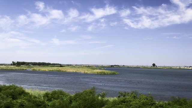 Olt River with ducks swimming
