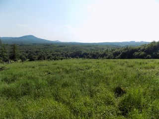 Meadow, forests and sky