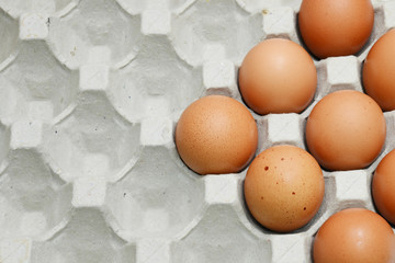 eggs for cook and berkery © maewshooter