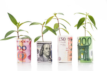 Concept of green plant grow on major currency note