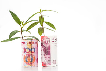 Fototapeta na wymiar Concept of green plant grow on China Renminbi Yuan against Sterling Pound notes