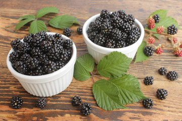 Frische Brombeeren in weißen Schälchen auf altem Holz