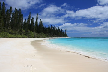 Ile des Pins