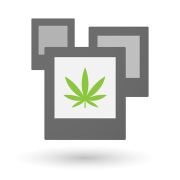 Isolated group of photos with a marijuana leaf