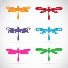 Vector group of colorful dragonfly on white background