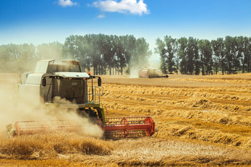 Fototapeta premium combine harvester