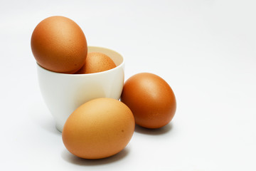 eggs for cook and berkery