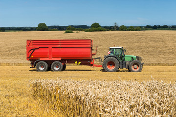 Tractor with Trailer on the field during harvest time - 2712