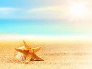 Fototapeta na wymiar Starfish on the beach. Summer time