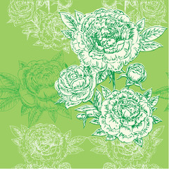 hand drawn flowers peonies pattern