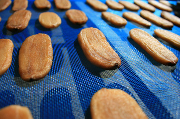 Dried banana on blue mesh