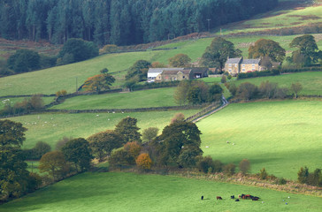 Obraz premium A farm i the rolling hills of North York Moors, North East Engl