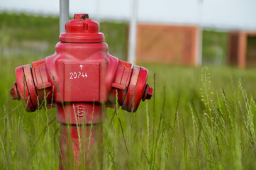 red hydrant in the grass