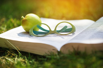 Close-up shot of glasses on a book along with an apple on a green grass