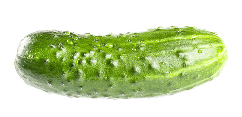 fresh cucumbers with water drops isolated on white