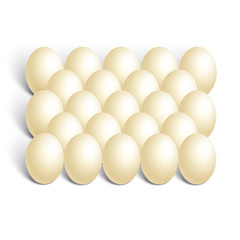 chicken eggs on white background