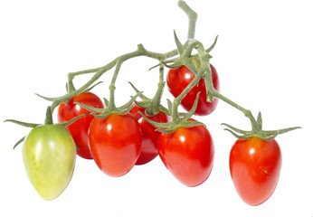 Red shiny cherry tomatoes. Isolated on white background