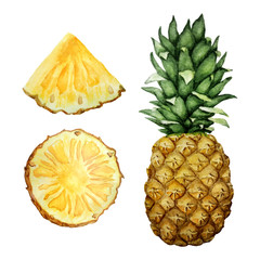 pineapple set
