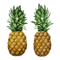 watercolor pineapples