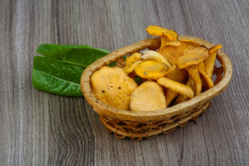 Chanterelle