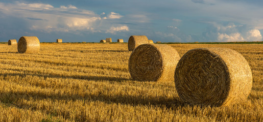 Strohballen liegen im Feld mit Sonnenlicht am Abend