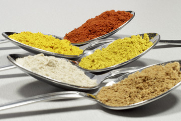 Spoonfuls of several types of spices and food coloring