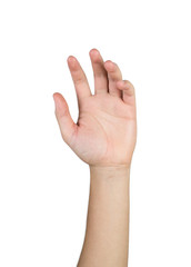 open hand isolated on white background