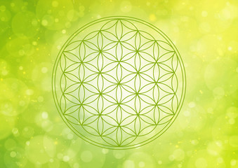 flower of life - green nature flow