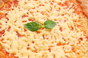 Cheese pizza with basil close up