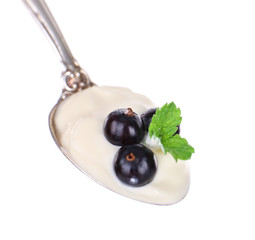 Delicious yogurt in spoon with blackcurrants and mint isolated on white