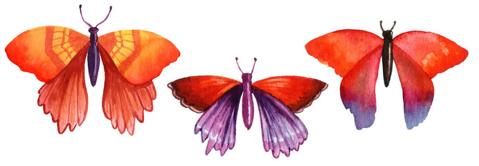 A collection of bright watercolour butterflies