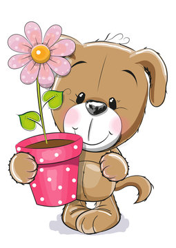 Puppyy with flower