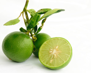 lime