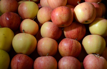 Fresh fruits