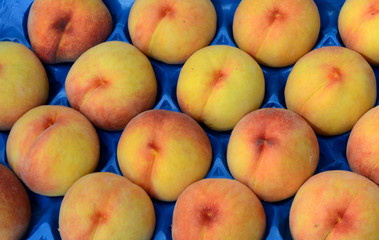Fresh fruits