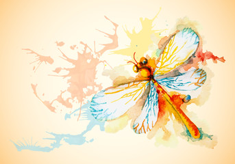 Vector Horizontal Background With Orange Dragonfly