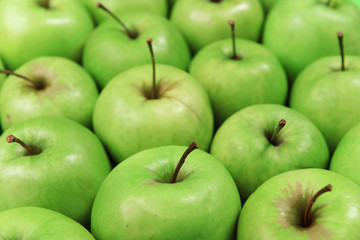 Ripe green apples close up