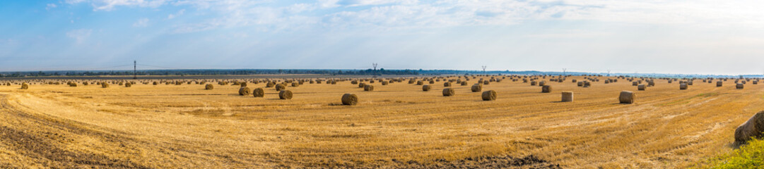 Fototapeta premium Bales of straw on a yellow field
