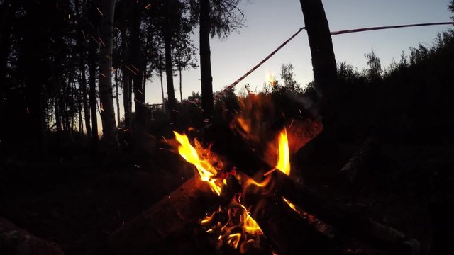 Campfire wide shot in summer evening outdoor in forest close uo