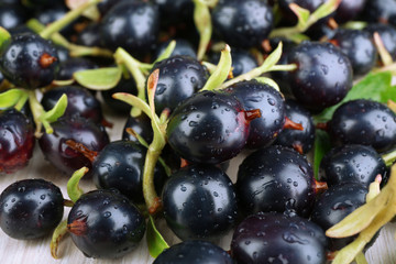 Pile of wet black currants, closeup