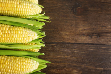 Fresh corn on cobs on wooden background
