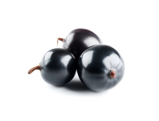 Heap of wild black currant isolated on white