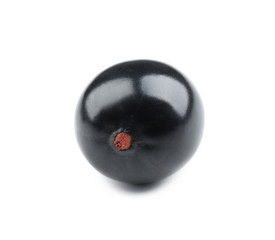 Heap of wild black currant isolated on white