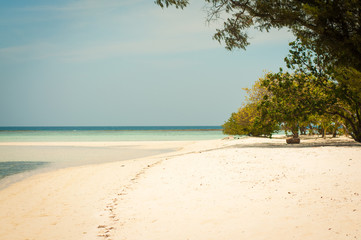 Footprint trail on Cemara Kecil
