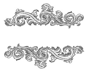 Beautiful Baroque  style decorative calligraphy floral vector