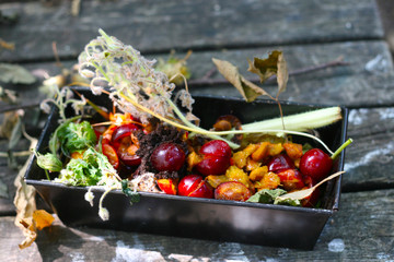 Kompostierung von Biomüll im eigenen Garten, organische Stoffe abbauen, Reduzierung von Hausmüll...