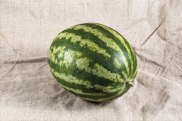 Ripe striped watermelon with water drops on a burlap canvas