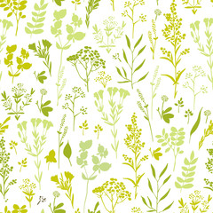 Seamless hand-drawn floral pattern with herbs