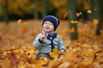 cute little baby in autumn park